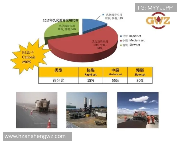 北京排球队快攻战术解析与实战应用探讨
