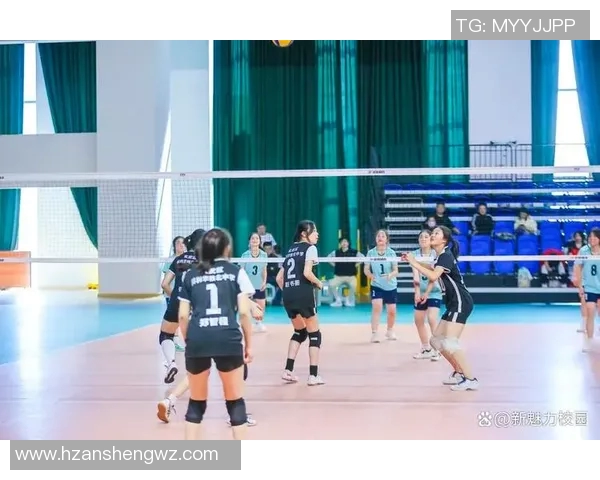 南京排球队在排球节奏排名中创下新高引发广泛关注与热议