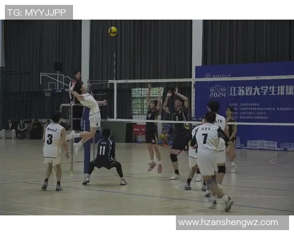 北京排球队的团队协作探索与实践：排球运动中的默契与合作精神