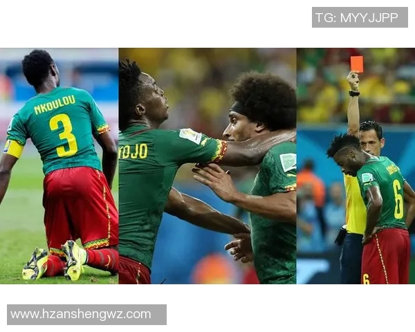巴西与喀麦隆2018世界杯精彩对决分析与推荐策略分享