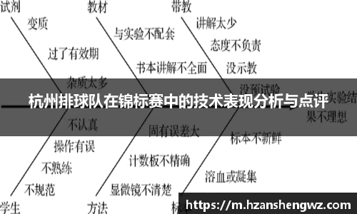 678体育app